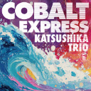 Cobalt Express Jacket